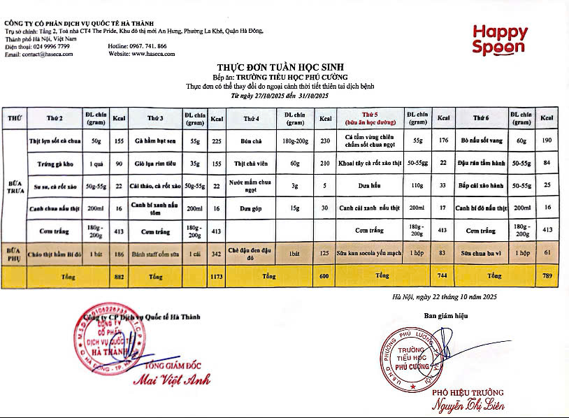 Tuần 8